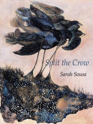 cover image of Split the Crow